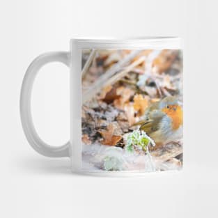 Puffed-up Robin Redbreast in Frost Mug